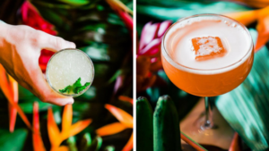 Yellowbelly Cocktails